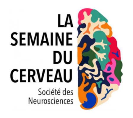 Semaine du cerveau 2024 - 11-17/03/2024