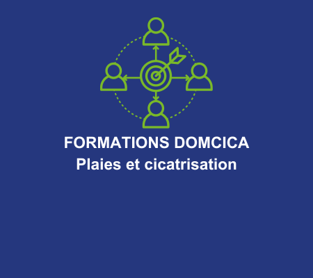 Formation DomCica Plaies et Cicatrisation