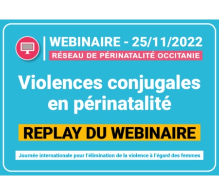 Sensibilisation aux violences conjugales en périnatalité - Replay